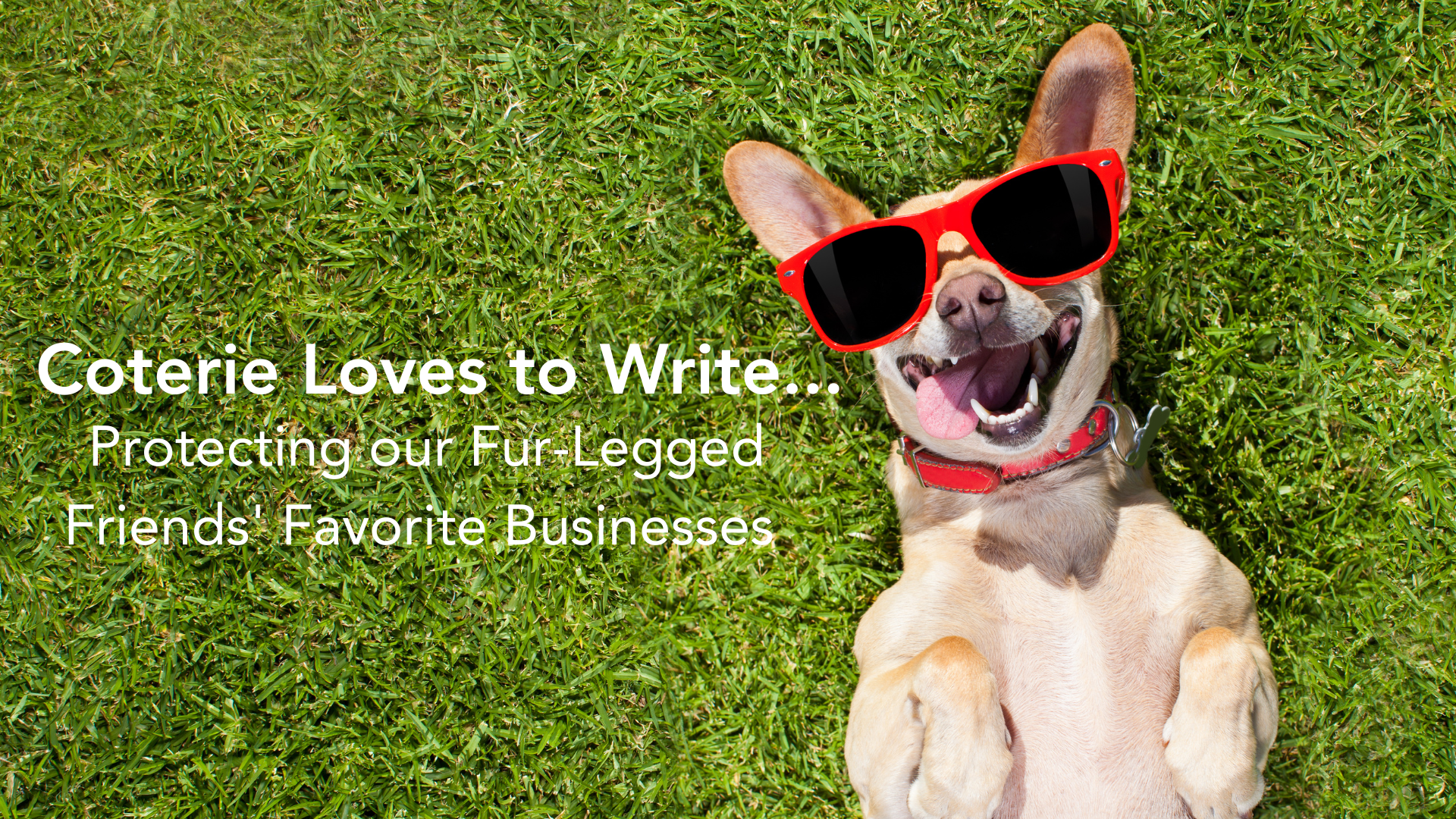 Coterie Loves to Write dog themed businesses