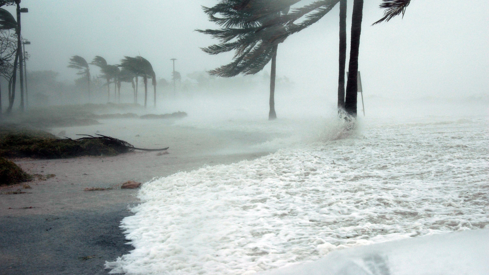 Hurricane Preparedness Checklist from Coterie Insurance