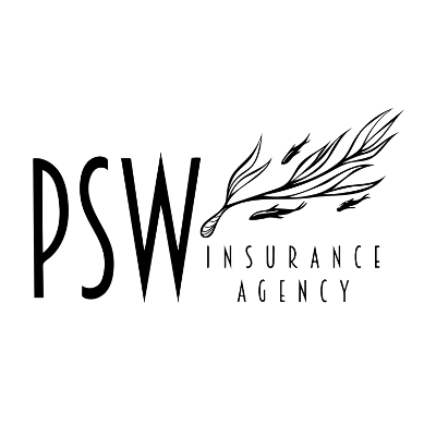 PSW Agency