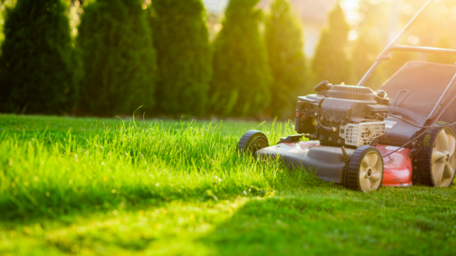 lawn mower on grass at sunset