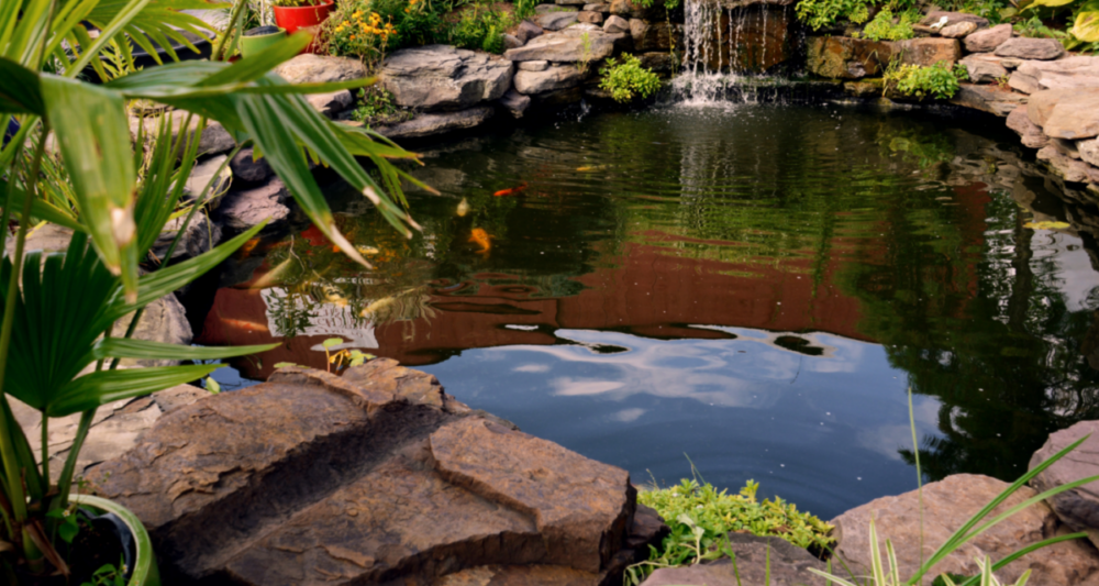 coterie insurance appetite classes- pond maintenance, liquor stores, internet auctioneers
