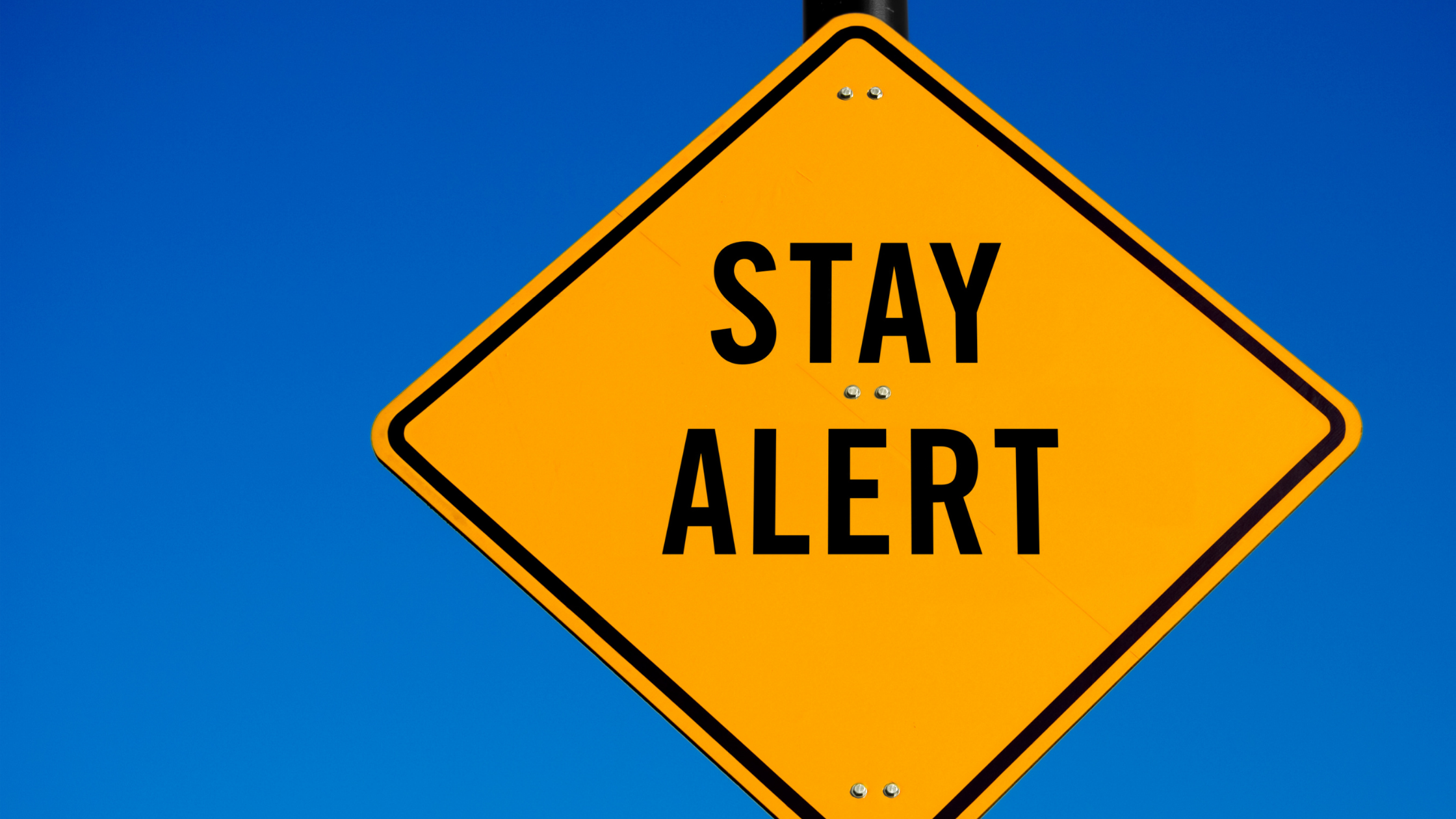 coterie insurance moratorium alert