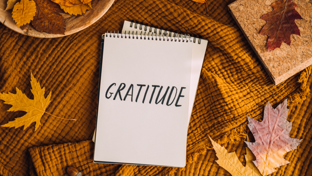 Coterie loves to write these classes of business that we are featuring in November